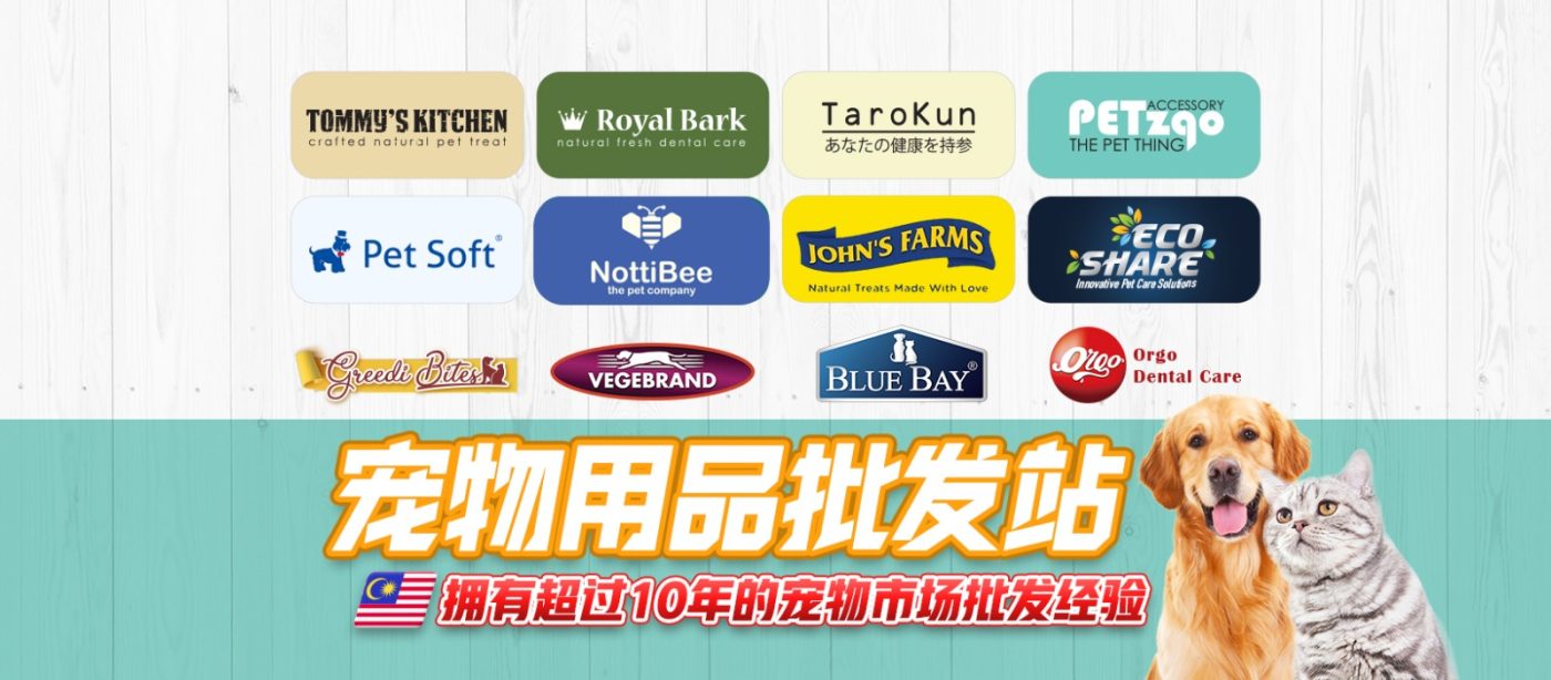 Your Trusted Partner for Pet Product Wholesale – Petzqo Pet Accessory