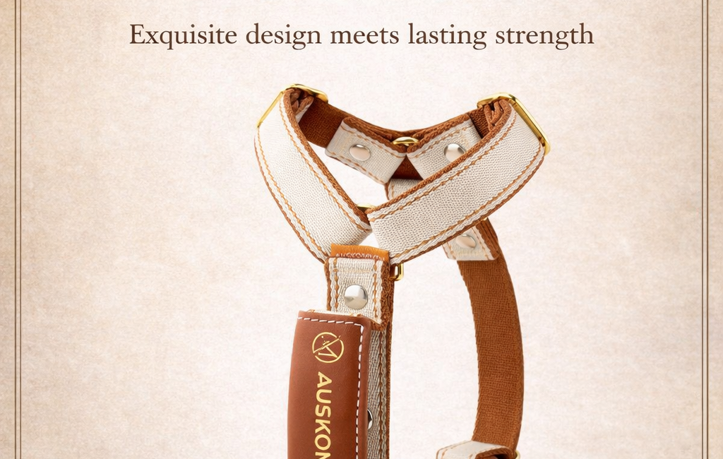 AUSKOMMEN Expands in Malaysia with PETZQO PET ACCESSORY – Premium Pet Gear Now Available for B2B Wholesale